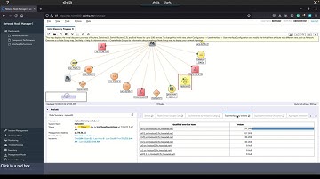 NOM Reporting — SaaS Demo
