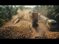 Inside a Massive Coconut Milk Factory 🥥 | Satisfying Production Process