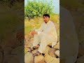 #unfrezzmyaccount #sindhisong #song #shortvideo #nature #mashallah