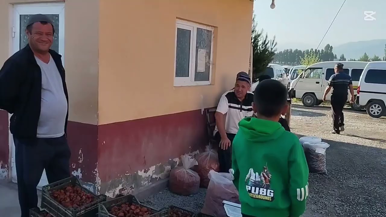 Чимйон миндон урик бозори нархлари 14-05-2025