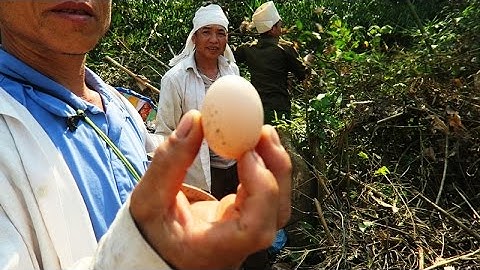 BÍ ẨN TÂY BẮC | Trứng Ném Không Vỡ