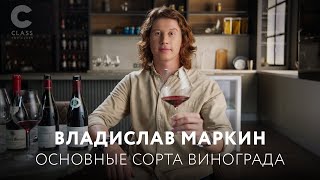 Научим выбирать вино по сорту винограда / Новый онлайн-курс Владислава Маркина о вине / Трейлер