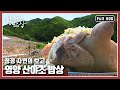 [한국인의밥상★풀버전] 달짝지근한 영양고추부터 맛깔난 약초밥상까지! “산과 하늘이 만나다 영양 산야초 밥상” (KBS 160602 방송)