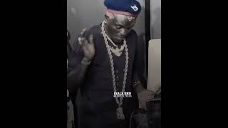 Mr Mario Absolutely Shut Down This Song