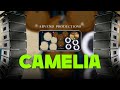 CAMELIA - Real Drum Mod Kendang Cover