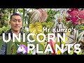 Plants you wont see anywhere else exquisite and unique  collection of mr kunzo in japan 