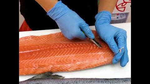 Fillet cá hồi tươi Nauy tại Homefarm | Phi lê cá hồi tươi Nauy siêu to khổng lồ