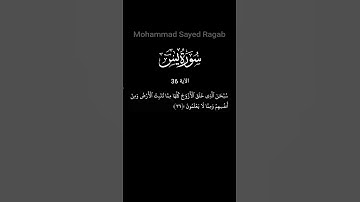 سبحان الذي خلق الأزواج كلها. سورة يس - الآية 36 #ترتيل_القرآن_الكريم