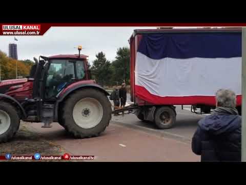 Hollanda'da çiftçiler hükümeti protesto etti