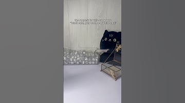 different cat fidgets! #asmr #fidgets #mysteryscoop #cats #smallbusiness #haul