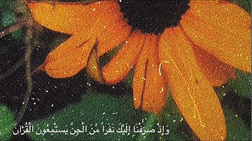 سورة الأحقاف - بصوت القارئ عبد الرحمن الحميداني💛