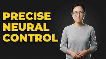 Is Optogenetics A Form Of Targeted Neural Circuit Control?