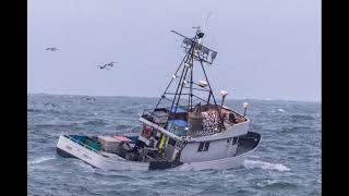 Garibaldi Crab Fleet