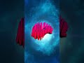 Novacane - Frank Ocean (Dres Tiago Mashup)