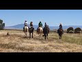 Growing Wyoming - Berger Ranches