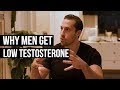 Low Testosterone: Why It's So Common & Tips to Fix