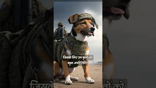 Dogs Became Soldiers In World War ? || worldwar history knowledge