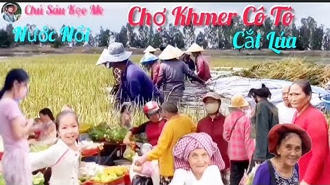 Chợ Quê Khmer Cô Tô Tri Tôn Rau Núi Cá Đồng Ngon Giá Bình Dân Cứu Lúa Chìm Trong Nước Cắt Bằng Tay