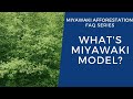 Whats miyawaki model  miyawaki afforestation faq series  mr hari  question no1