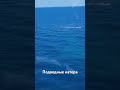 Подводные катера уничтожение в море