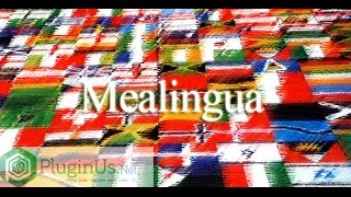 Manual Mealingua Plugin Installation - Translation Of Words On Wordpress Site
