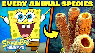 Every Animal in Bikini Bottom!  | 30 Minute Compilation | SpongeBob