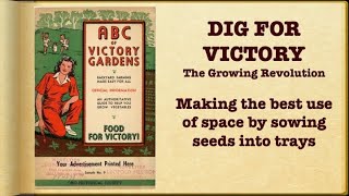 Dig for Victory - The Growing revolution  Saving space by growing veg in trays.
