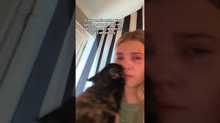 Hayvan Deyip Geçmeyin Ağlamaya Üzüntüye Dayanamayan Kediler Canlar..