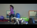 How to prevent a dog from Pacing, with Eric Salas How to prevent a dog from Pacing, with Eric Salas