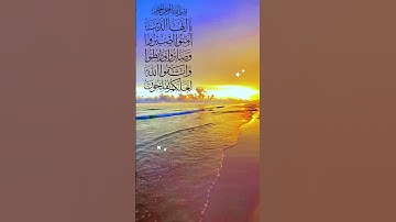 الله يأمر المؤمنين بالصبر على الأقدار والأحداث سورة ال عمران اية 200 #المصحف #istighfar #الرحمن
