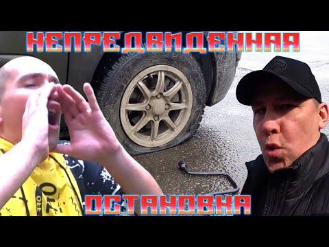 СЕРЫЙ ОТЛОВИЛСЯ С САНЕЙ КРИКУНОМ / ВНЕЗАПНАЯ ОСТАНОВКА: ПРОБИЛО КОЛЕСО / ХОЧУ ПОЖРАТЬ ДМИТРИЙ СЕРОВ