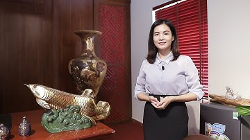 Sự Tích và Ý Nghĩa của Cá Chép Hóa Rồng trong phong thủy