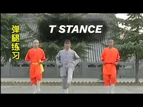 6. Learn Shaolin kung fu Basic skill - T Stance