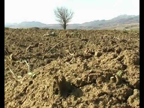 ..მრავალკუთხედი\" 4 ივლისი, ნაწ. 1