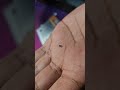 ফোন ঠিক করে ফেললাম🐸 Redmi 11 Prime auto restart issu