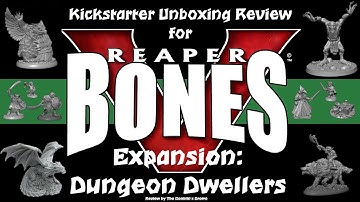 [HD] Dungeon Dwellers - Bones V Kickstarter Expansion Unboxing Review