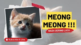 Meong Meong | Nada Dering Pesan WA Lucu Untuk Pecinta Kucing