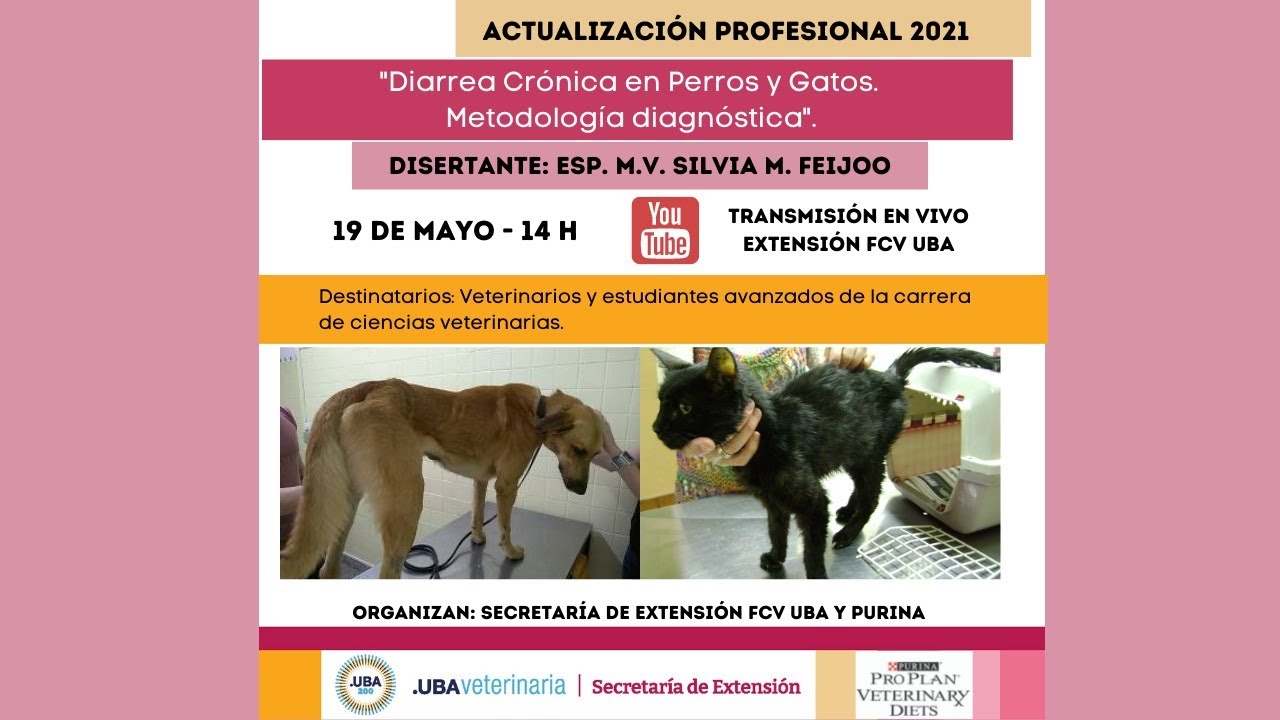 Actualización profesional 2021: 