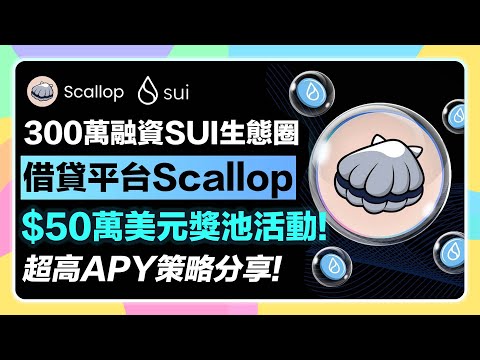 【期間限定!】SUI生態圈龍頭借貸平台「Scallop」502,000 $SUI激勵發放!｜超高年化報酬率策略分享｜高達4倍的方式｜300萬美元融資