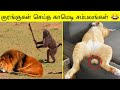 விலங்குகள் செய்த தரமான 200 காமெடி சம்பவங்கள் | Monkey Funny Moment of The Year 2023