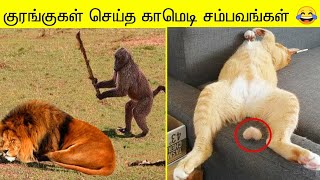 விலங்குகள் செய்த தரமான 200 காமெடி சம்பவங்கள் | Monkey Funny Moment of The Year 2023