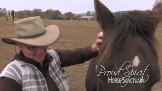 &quot;Proud Spirit Horse Sanctuary&quot; by Mark &amp; Jackie Barrett