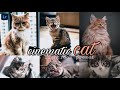 CAT PRESET | lightroom mobile preset | lightroom preset | preset in lightroom | lightroom editing