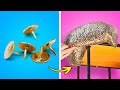 LOW-BUDGET DIY DECOR || Awesome Recycling Ideas