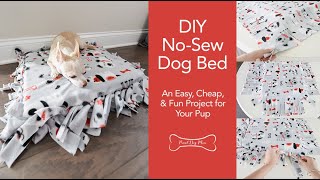 DIY No Sew Dog Bed: An Easy, Cheap, and Fun Project for Your Pup | Proud Dog Mom