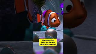 Famous Did You Know That In Finding Nemo Net Worth