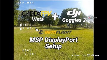 DJI Goggles 2 + Vista - MSP DisplayPort Setup on Betaflight 4.3 & Test Flight