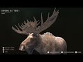 Trophy compilation Way of the hunter