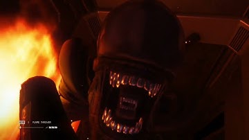 Alien: Isolation - Xeno Won