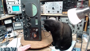 Hallicrafters S-40A Shortwave Communications Receiver Video #4 - Output Tube